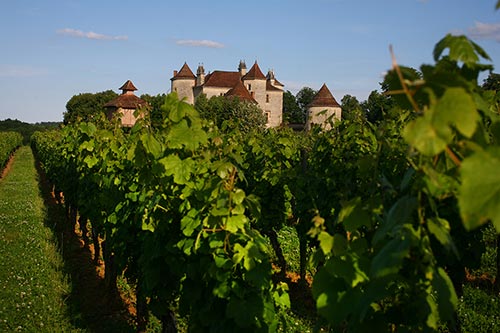 Weinanbaugebiet Südwesten, Cadillac, Weingut Château Lagrezette 