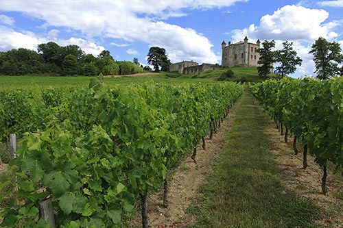 Bordeaux, Weingärten des Châteaux de Monbadon